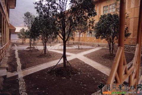 �F����V���(xi��ng)Ŀ