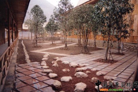 �F����V���(xi��ng)Ŀ