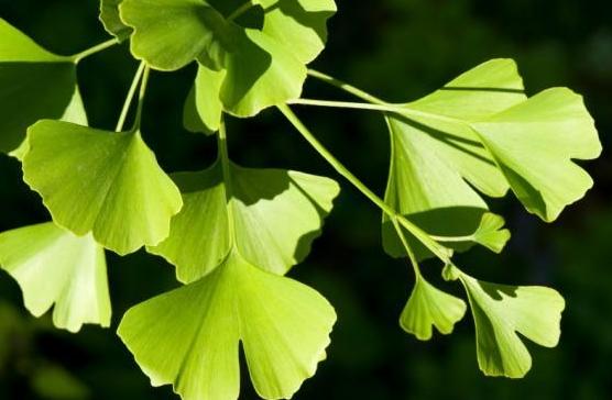 �(y��ng)���е��y���~��Сˮ���������y�Ӻ��ɘ��@⻬���~���ϣ��Ͳ���(hu��)��(d��o)���~ȼ����