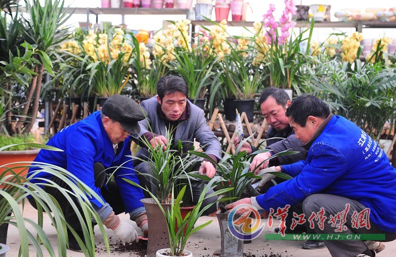 �����ˆT�ڞ�������B���m�����M���Q���B����