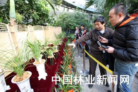 �D�鱱��ֲ��@���@�L�w�������Ҷ�����B�f�������mչ�ܽ^��r�m����չ���r����ܱ���ͨ���M�߽��ܡ�