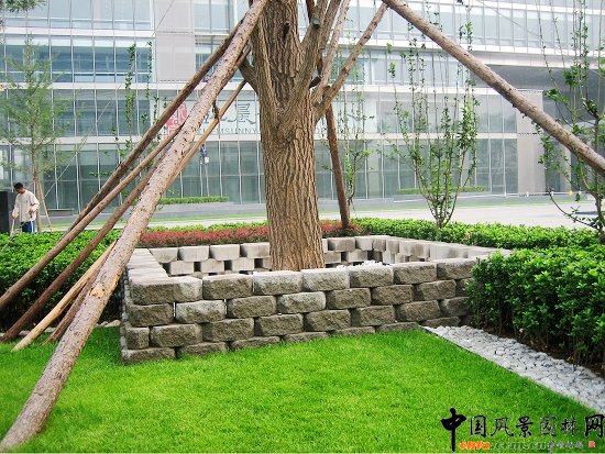 �P���V��--���沼��ˡ�Ģ��ʯ���K���