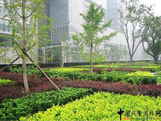 �P���V��--�G�����^