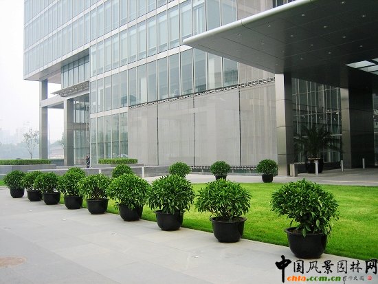 �P���V��--���⾰�^Ч��