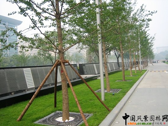 �P���V��--���⾰�^Ч��