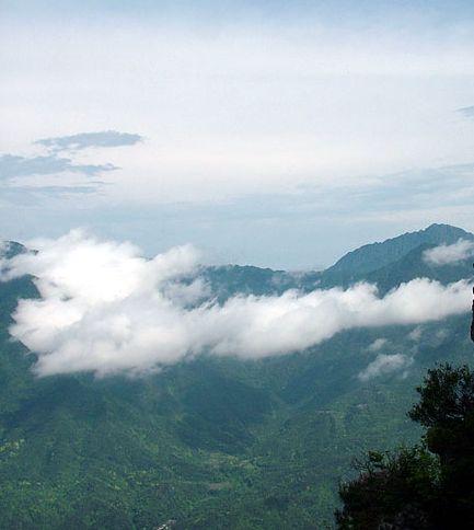 ���g�ɾ�--��צ��ɭ�ֹ��@