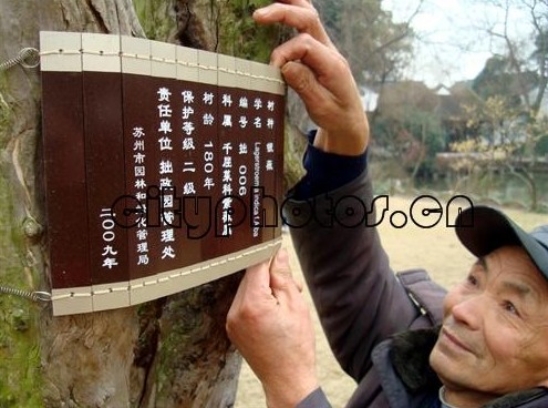 �K��׾���@�Ř�Q���񺆡������C��