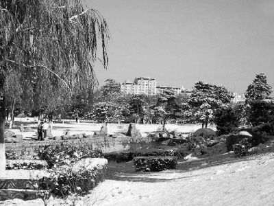 �L���Ѓ�ͯ���@