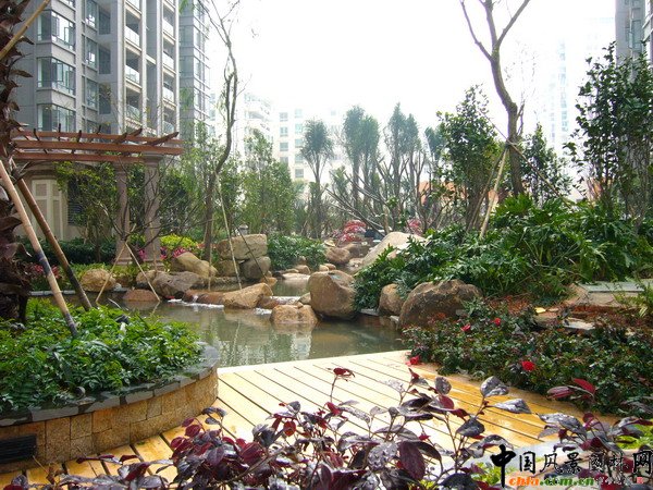 ����ƽ�_���^