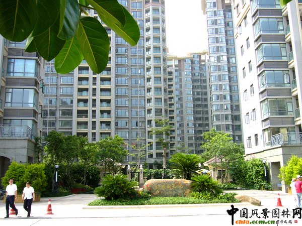 С�^��ھ��^ʯ