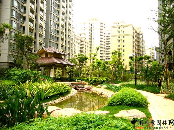 С�^�ֲ����^