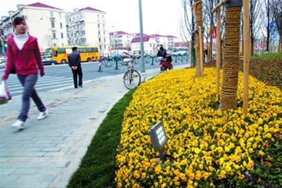 �Ϻ����֖|���ݡ����������^4������ 28�l��ɫ����