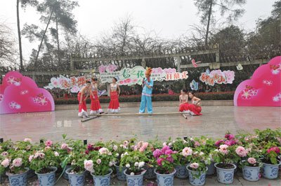 �ؑc�����F(tu��n)�\�� ��ɽֲ��@�Ƴ�110���p�����