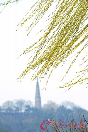 �������ν���