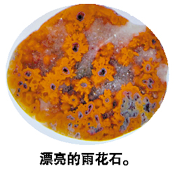 �������ν���