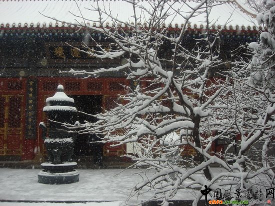 �P���´�ѩ(�M�D)