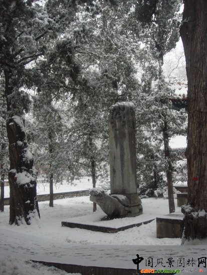 �P���´�ѩ(�M�D)