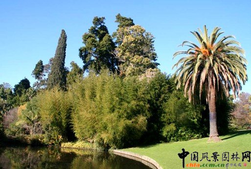 �����@�ְl(f��)չ�F(xi��n)��