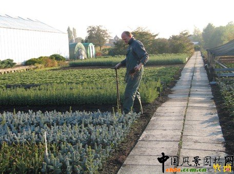 ���|����