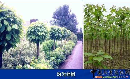 �l�_���������c�҇����Եą^�e