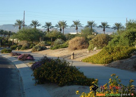 �����塢�@��ֲ������a���o�ܽY�ψ@��ֲ���쾰�����Pԭ�t�cҪ��