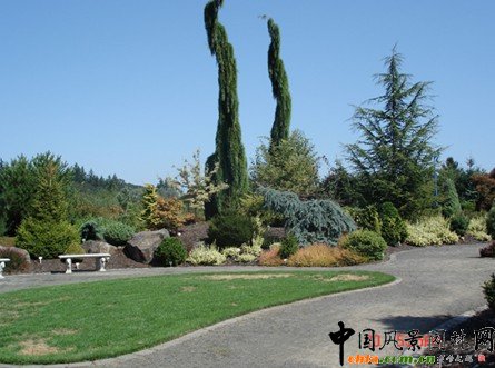 �����塢�@��ֲ������a���o�ܽY�ψ@��ֲ���쾰�����Pԭ�t�cҪ��