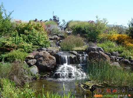 �@��ֲ��ľ��^����