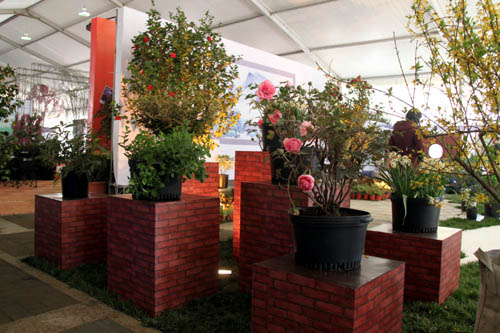 ����ʣ���һ��(g��)��Ʒ�@�֪q����һ�P��ˮƽ�ć���