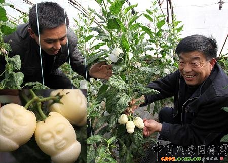 ����׼����N���˅������ڴ���h��ֲ�ɹ�