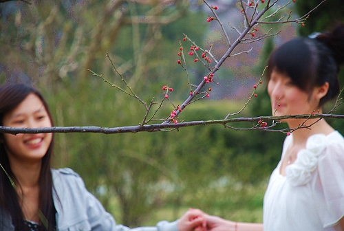 ��ɽ���@�ȣ����Ƕ������z���]�к������ŵ��E��