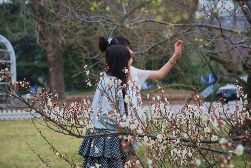 ���u����ɽ���@�������t �ο͟��鲻�p���M�D��