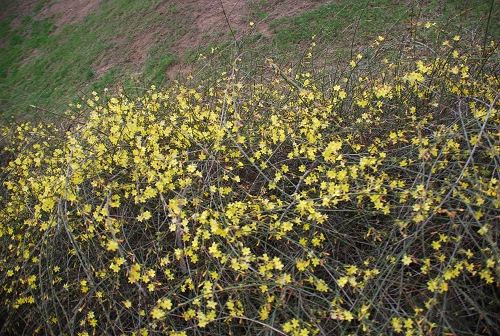 �˴��P�ڶ���ˮԡ��������ӭ���������`��