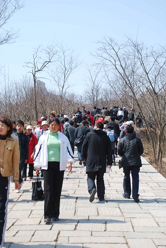 �ܵ͜�Ӱ푣��z�ϴ���ɽ�Ķ��N�������t�˰낀��