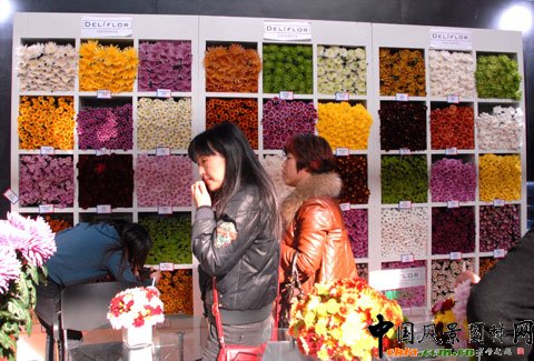 �Ї�(gu��)���܈@ˇչ���e�k���m����(ch��ng)��ӑ��(hu��)