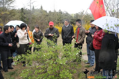 ��(y��ng)�@��̎�M���T���W(xu��)��(x��)��(zhu��n)�I(y��)֪�R(sh��)������B(y��ng)