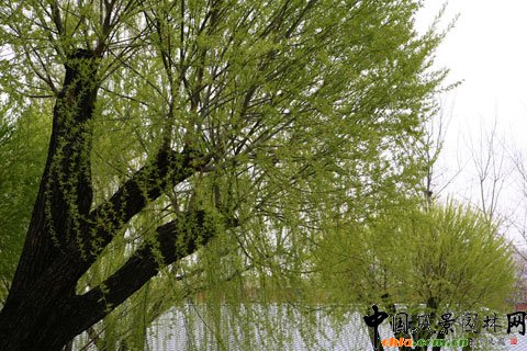 ��������w��