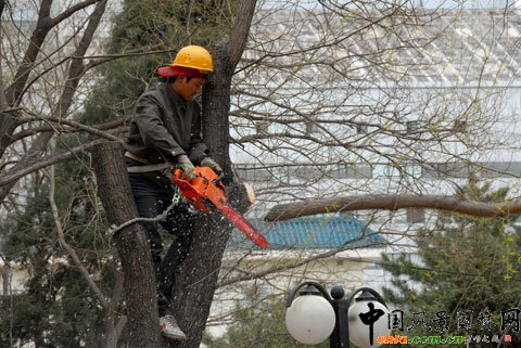 ��������w��