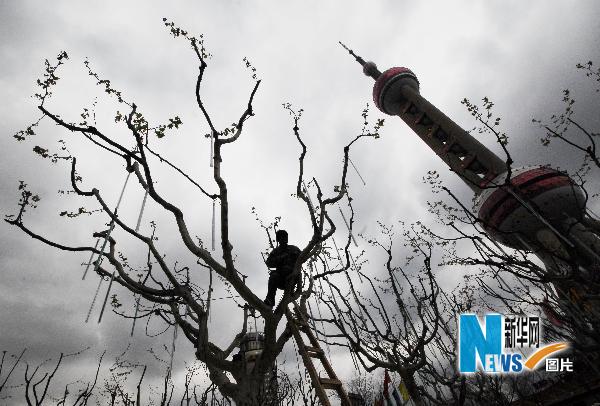 ��������6000���f���r���b�c���