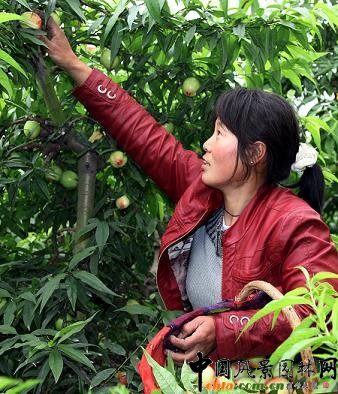 ����������ҵ�һ��500��������ǰ����