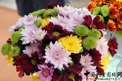 Deliflor��˾����Ʒ�N