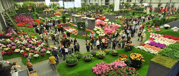 第34屆根特花展在比利時西部城市根特開幕