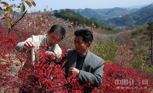 �㽭��������Ї�����ɽ�t���ѻ��������_Ļ