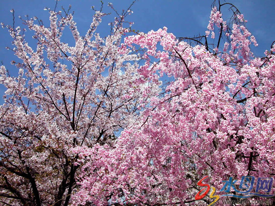 ���_����ɽ���@�����ѻ���� �Ѕ^(q��)����ɭ�����B(t��i)�ȵ�