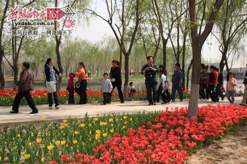 ʯ���f��ֲ��@ӭ�p���߷� һ���f�ˣ��D��