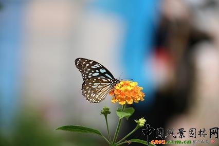 �߲ʵ��@�p����