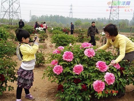 �����S��ĵ���M(j��n)��ʢ���ڣ�λ�ںʝ����Ͼ�·�Ĳ���ĵ���@����ÿ�춼����ǧ�����Ѓ�(n��i)���ο͡�һλ��(l��i)�ԝ�(j��)�ϵ��ο��f(shu��)�����@���ǵ���������ˁ�(l��i)����ĵ���@��ĵ������?y��n)��@�����L(zh��ng)����Ҋ�ľGĵ������ĵ��������ĵ����