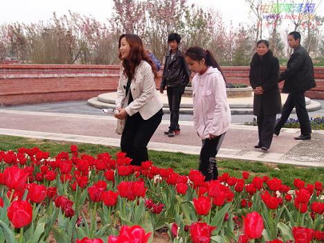 ��4��25�գ�����ĵ���@��(n��i)����������@����m���������㡢�ձ������ѻ�����������õ�塢������ʸ܇�ա������r���������˵�ʢ�_ӭ�e�������˲����ο��^�⡣�D���ο��^�p���m���������㡣 