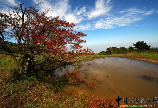 ����ɽ�L(f��ng)�����م^(q��)��R̶ Yinma Pond