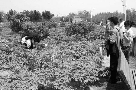 ����ֲ��@ĵ�����G �οͲ�����ʹ���ܓp