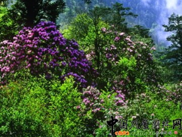 ��üɽ������ɽ����L�����م^